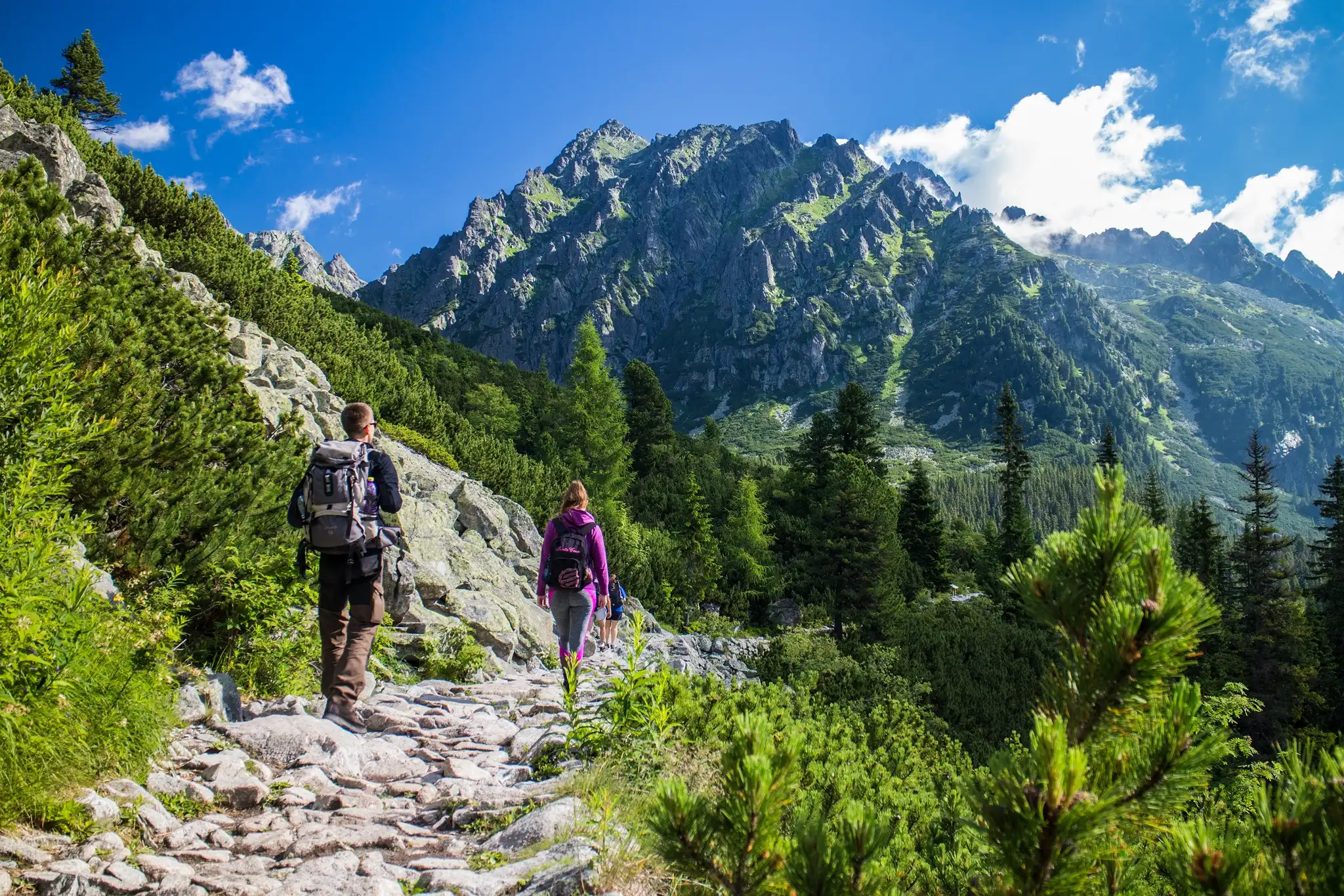Zakopane Tatra Mountains Private Car Tour
